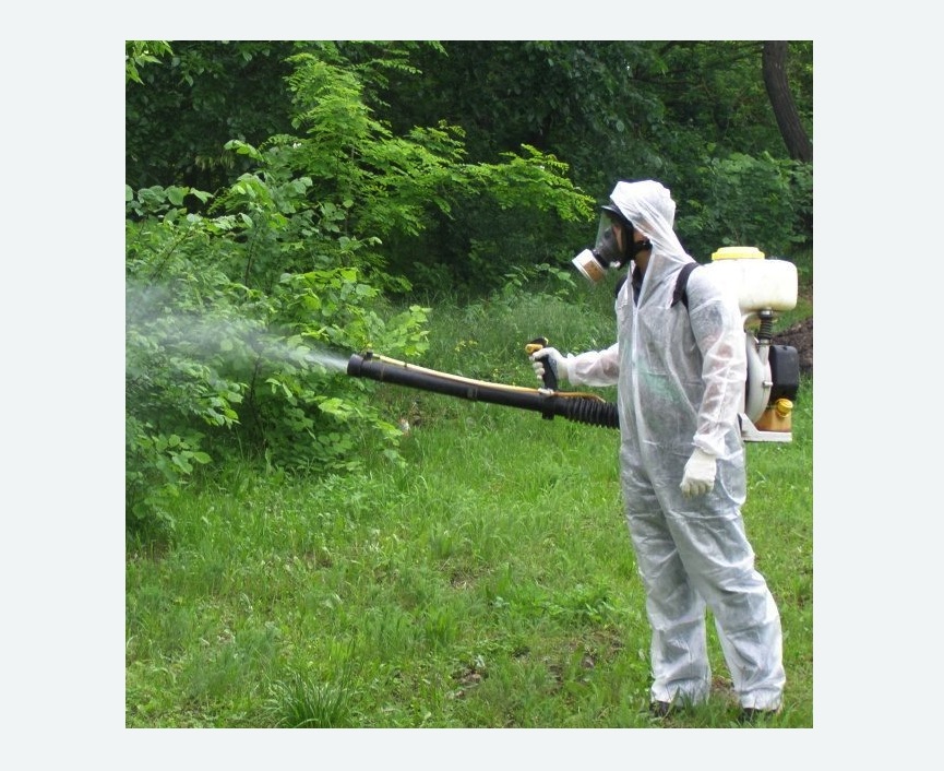 обработка территории от клещей в Семилуках