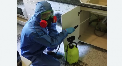 Уничтожение муравьев в квартире. Семилуки