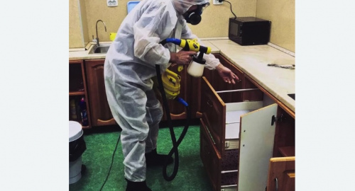 Уничтожение насекомых в квартире. Семилуки