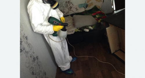 Обработка квартир от насекомых в Семилуках