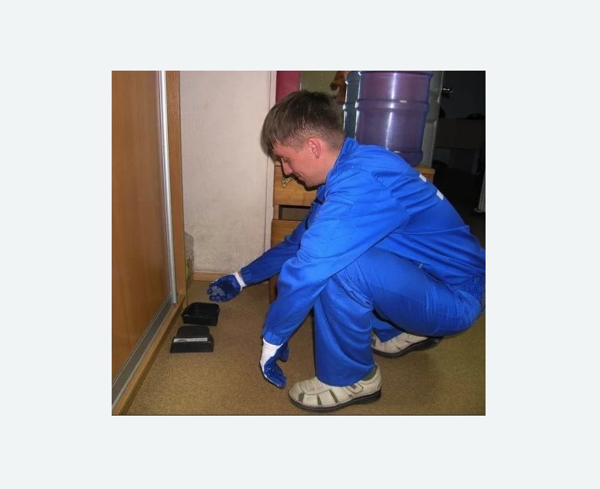 Дератизация крыс в Семилуках