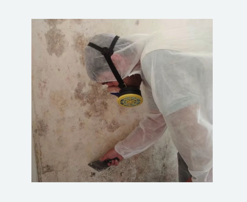 Обработка стен от плесени в Семилуках
