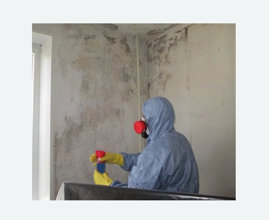 Удаление плесени в квартире в Семилуках