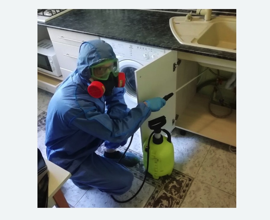 обработка от муравьев в квартире в Семилуках