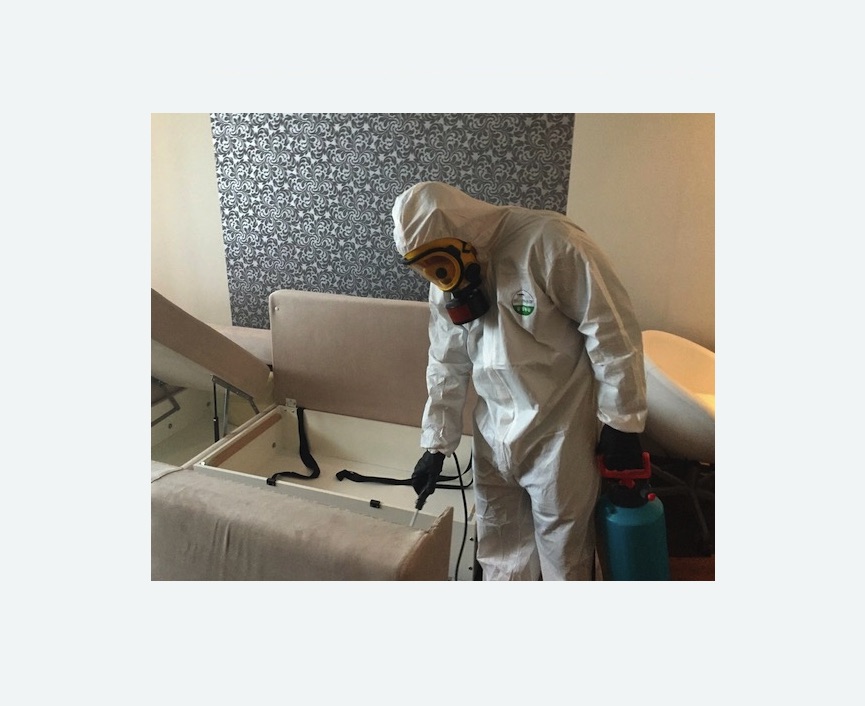 уничтожение клопов в квартире в Семилуках