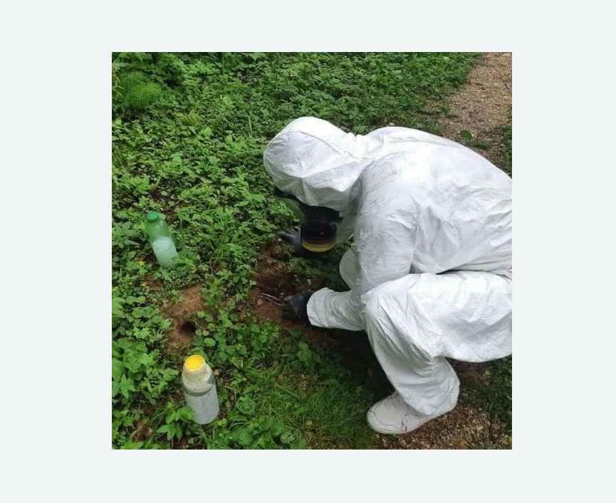 уничтожение кротов на участке в Семилуках