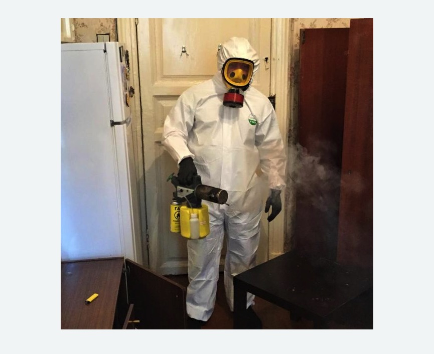 уничтожение муравьев в квартире в Семилуках